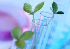 常見的IGCSE生物詞匯、詞根整理，滿滿的干貨來了