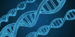 GCSE生物考試內(nèi)容是什么