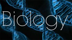 GCSE生物學(xué)什么，涉及哪些考點(diǎn)？