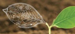 英國的GCSE生物單詞難嗎