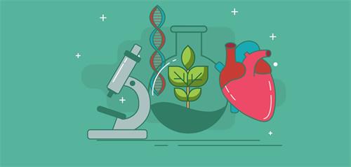 ALevel生物考試備考及答題技巧指導(dǎo)