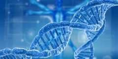如何應(yīng)對(duì)Alevel生物考試中的那些易錯(cuò)題