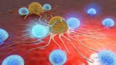 Alevel生物課程學(xué)習(xí)中的一些課外書單推薦