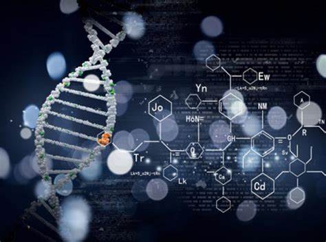 alevel生物培訓中的幾大要點，如何攻克？