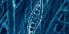 igcse生物怎么提高？這些學(xué)習(xí)中的重難點(diǎn)你要了解